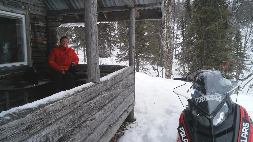 Lapland Snow Cabin Masugnsbyn Zewnętrze zdjęcie