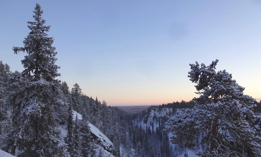 Lapland Snow Cabin Masugnsbyn Zewnętrze zdjęcie