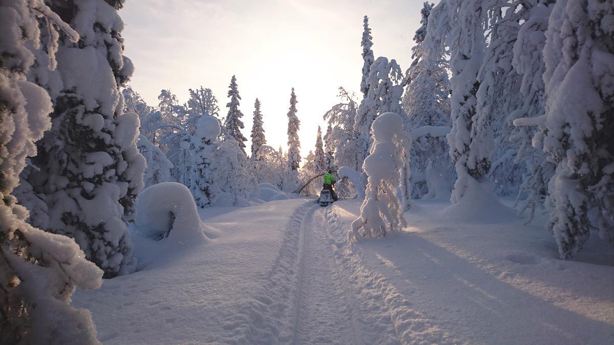 Lapland Snow Cabin Masugnsbyn Zewnętrze zdjęcie